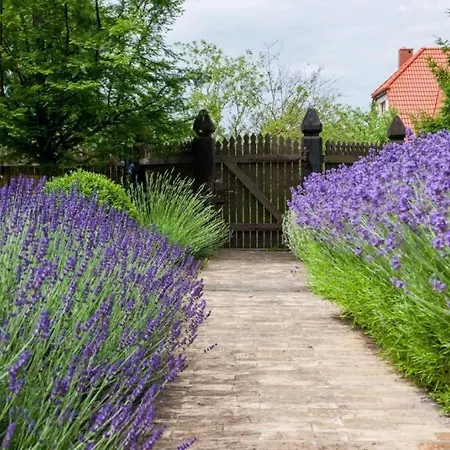Reetdach In Mit Gepflegtem Garten Gaski (Koszalin)